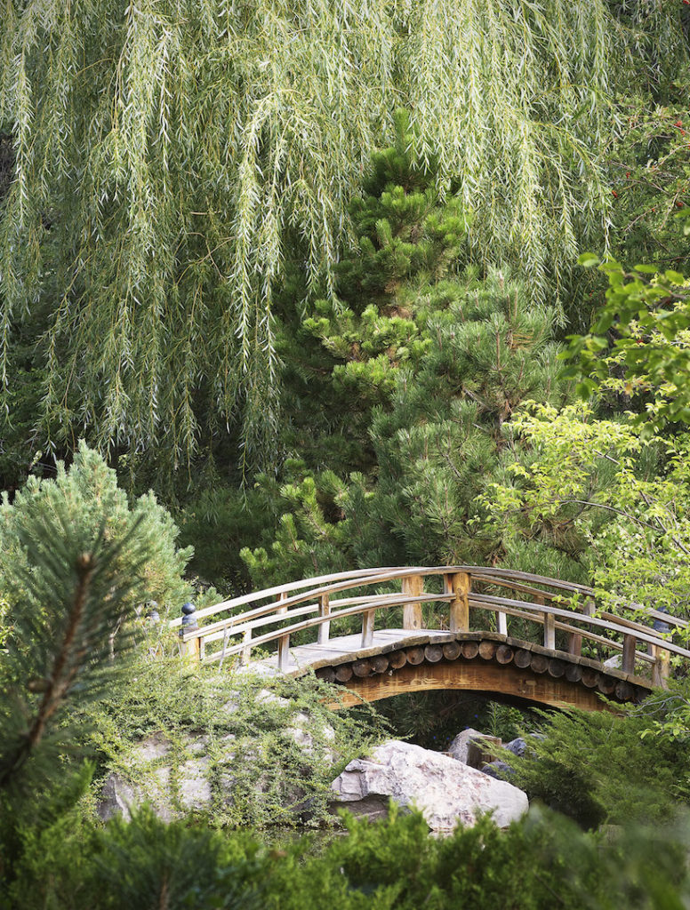 Jeremy Stein: Japanese Garden Bridge