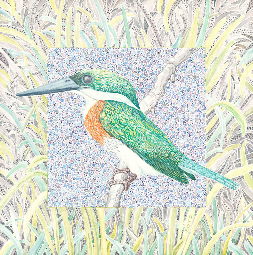 Judy Boyd: Green Kingfisher