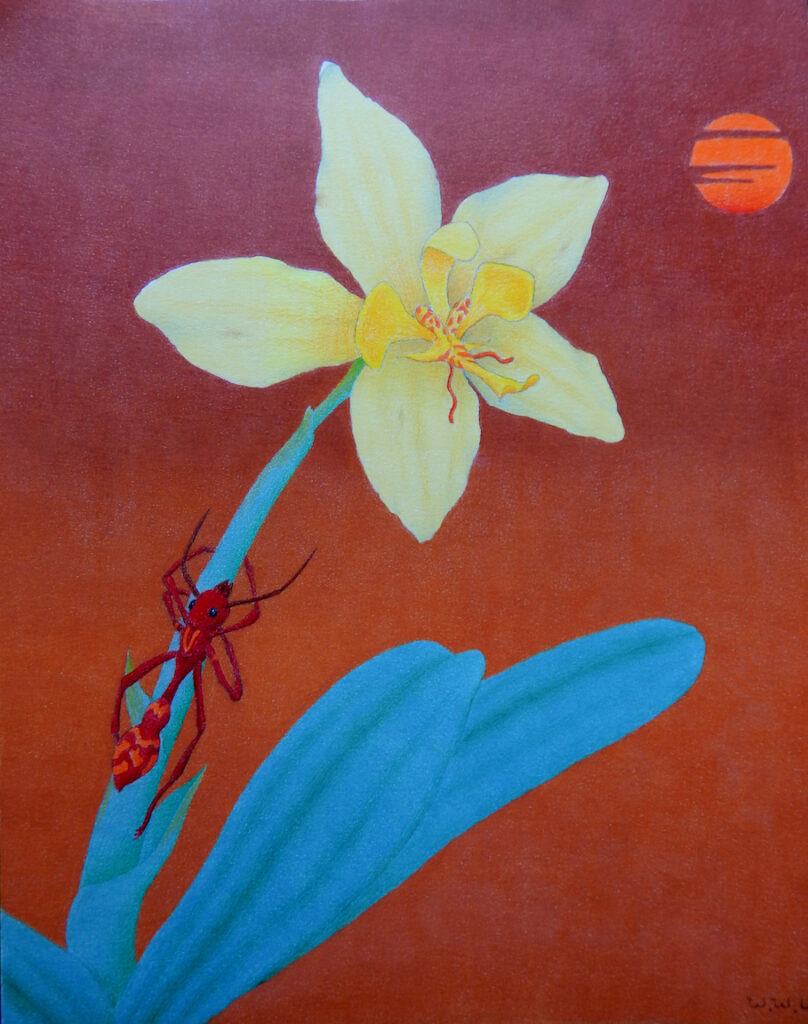 Wendell Unzicker: The Orchid and the Ant