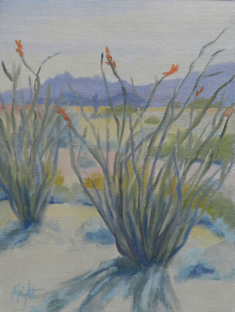 Cathy Haight: Dome Mountain Ocotillos