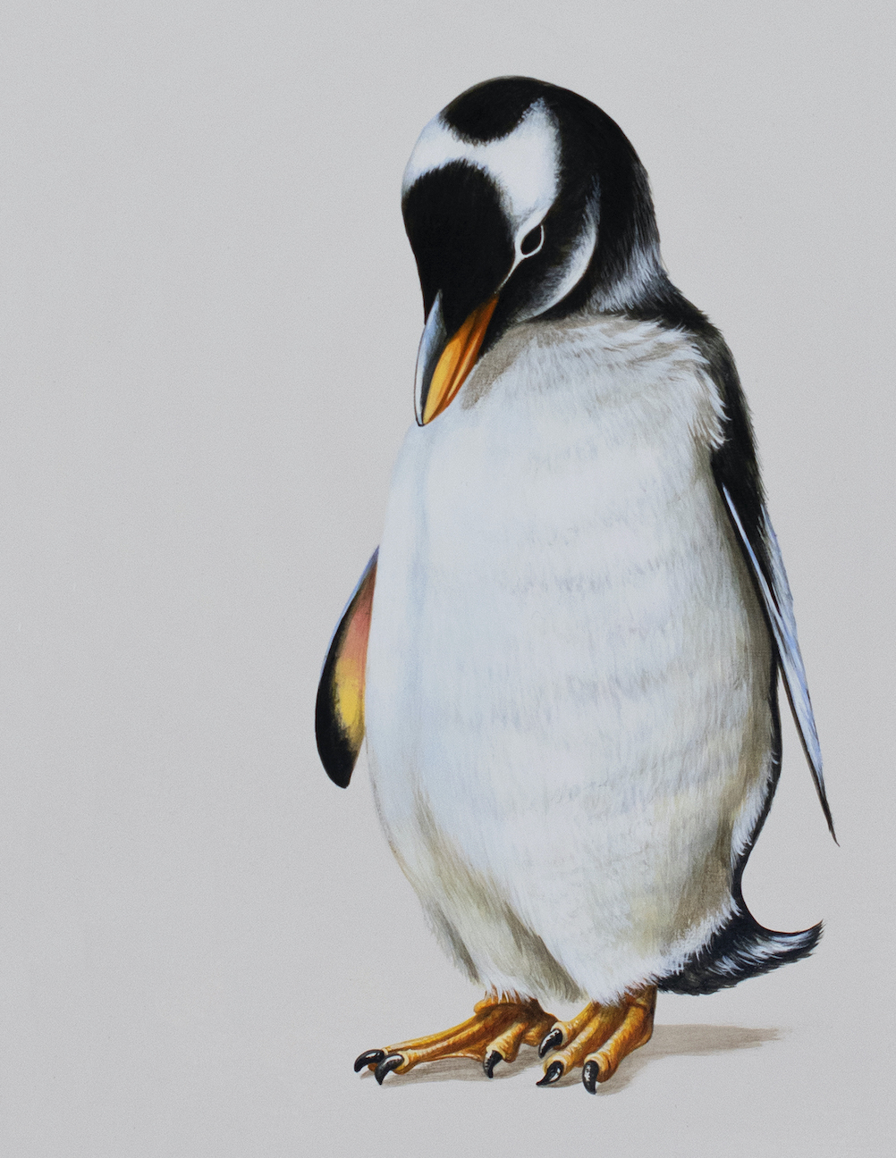 Tricia George: Penguin Reflecting