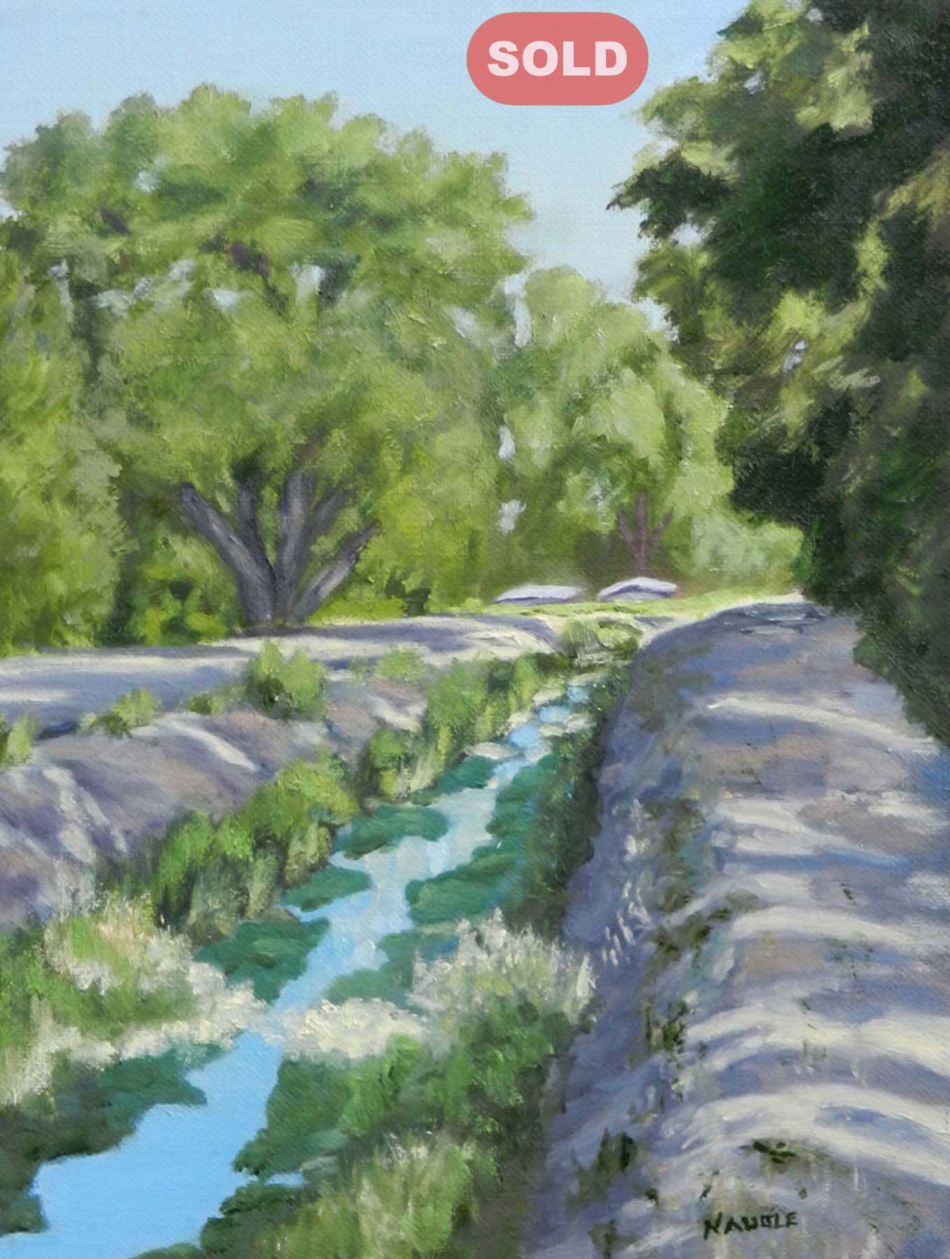 James Naugle: South Valley Acequia Morning View