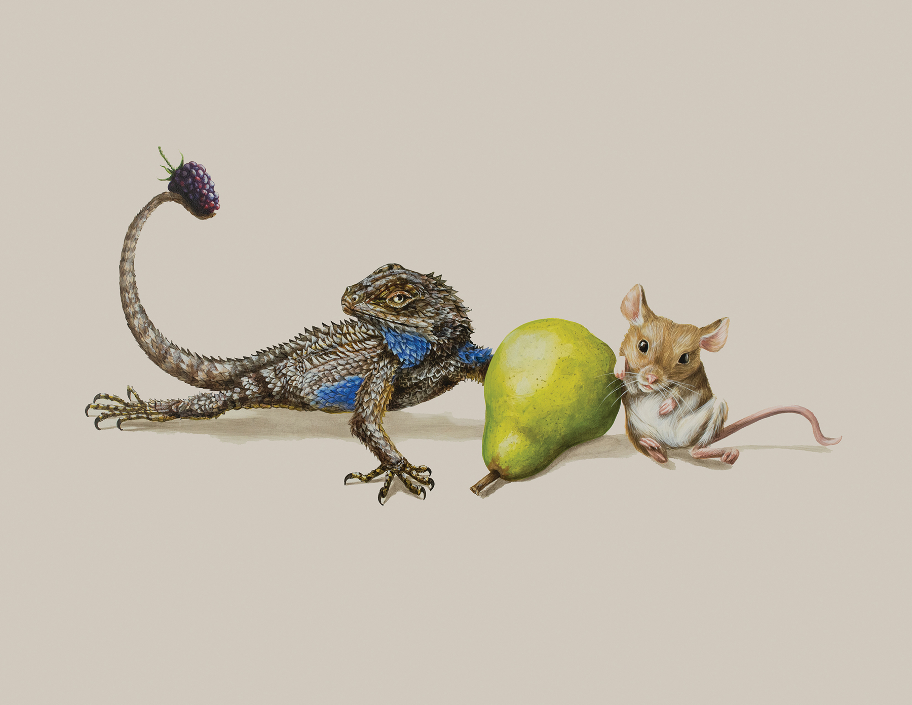 Tricia George: The Bluebellied Lizard and The Mouse