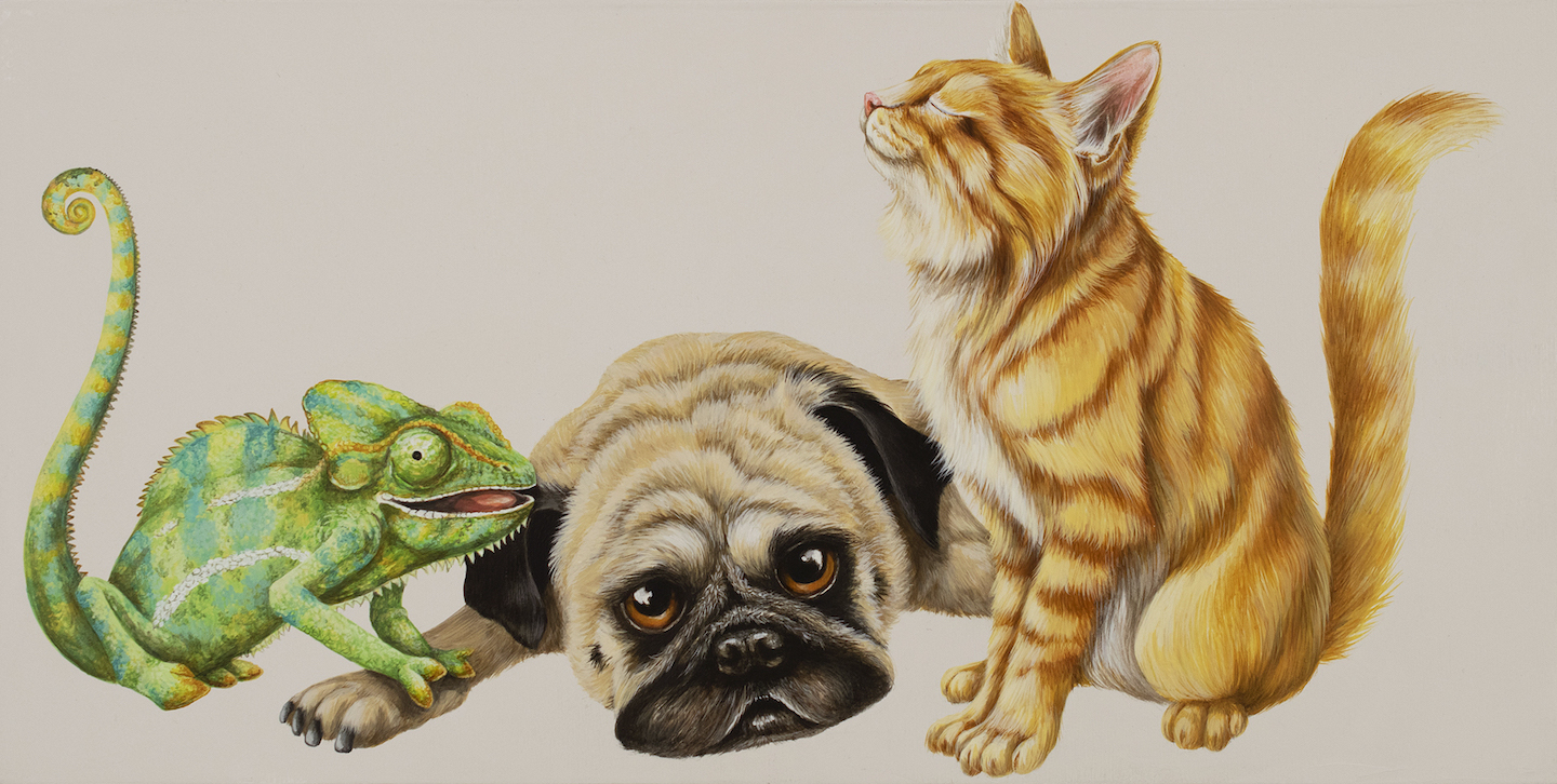 Tricia George: The Chameleon, The Pug and The Kitten