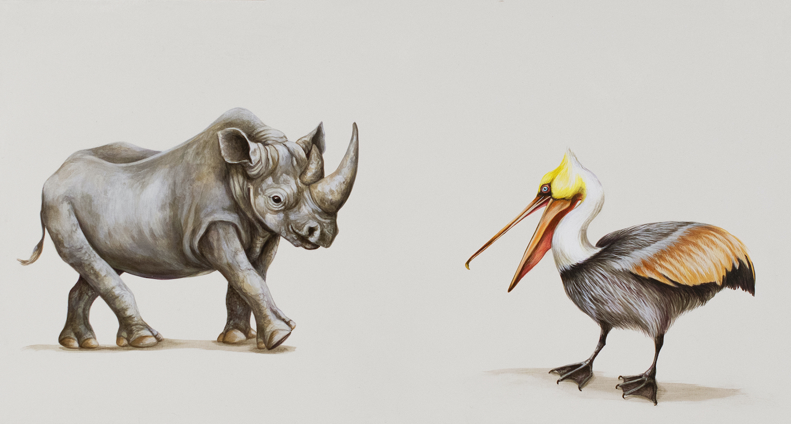 Tricia George: The Rhino and The Brown Pelican