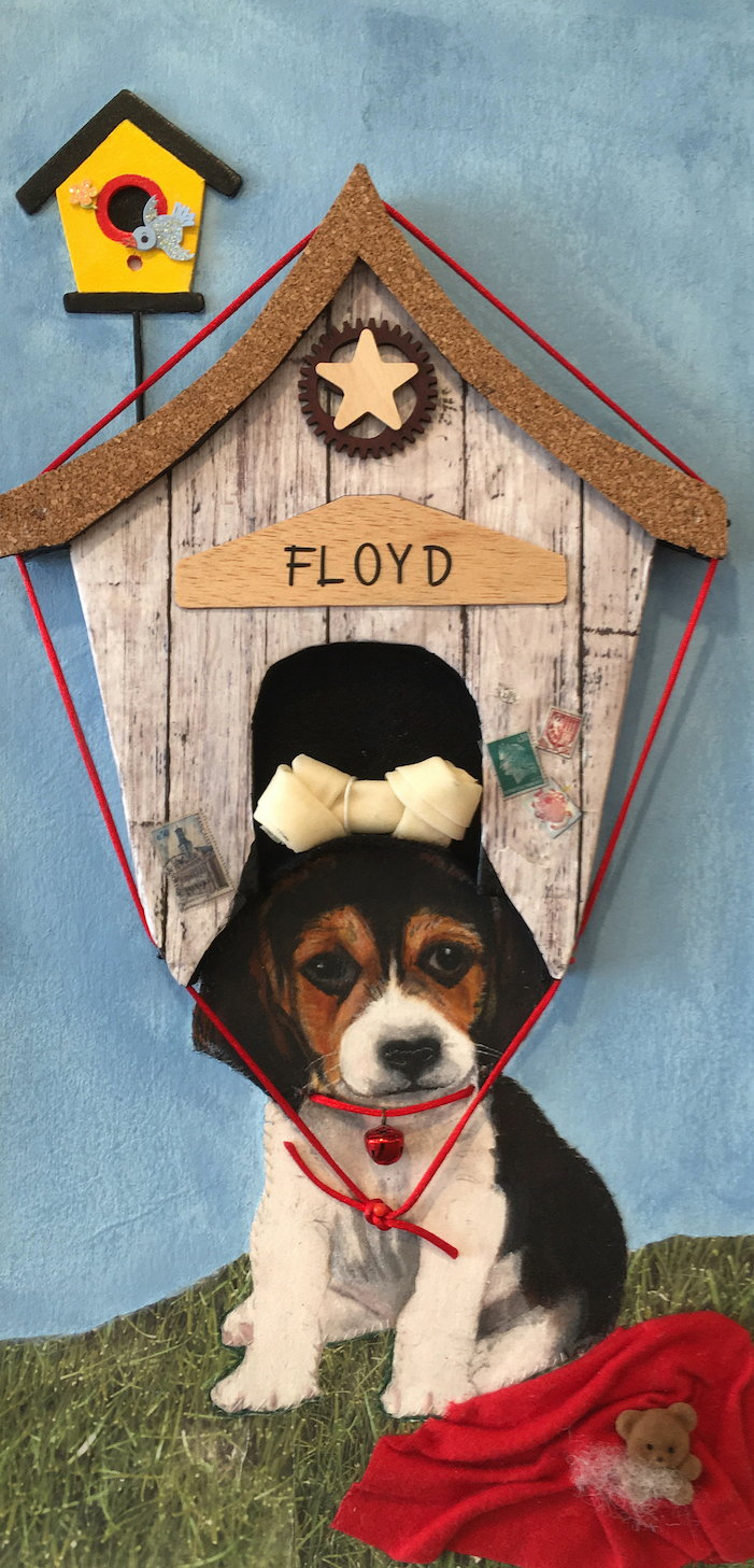 Floyd Lives In His Hat 1
