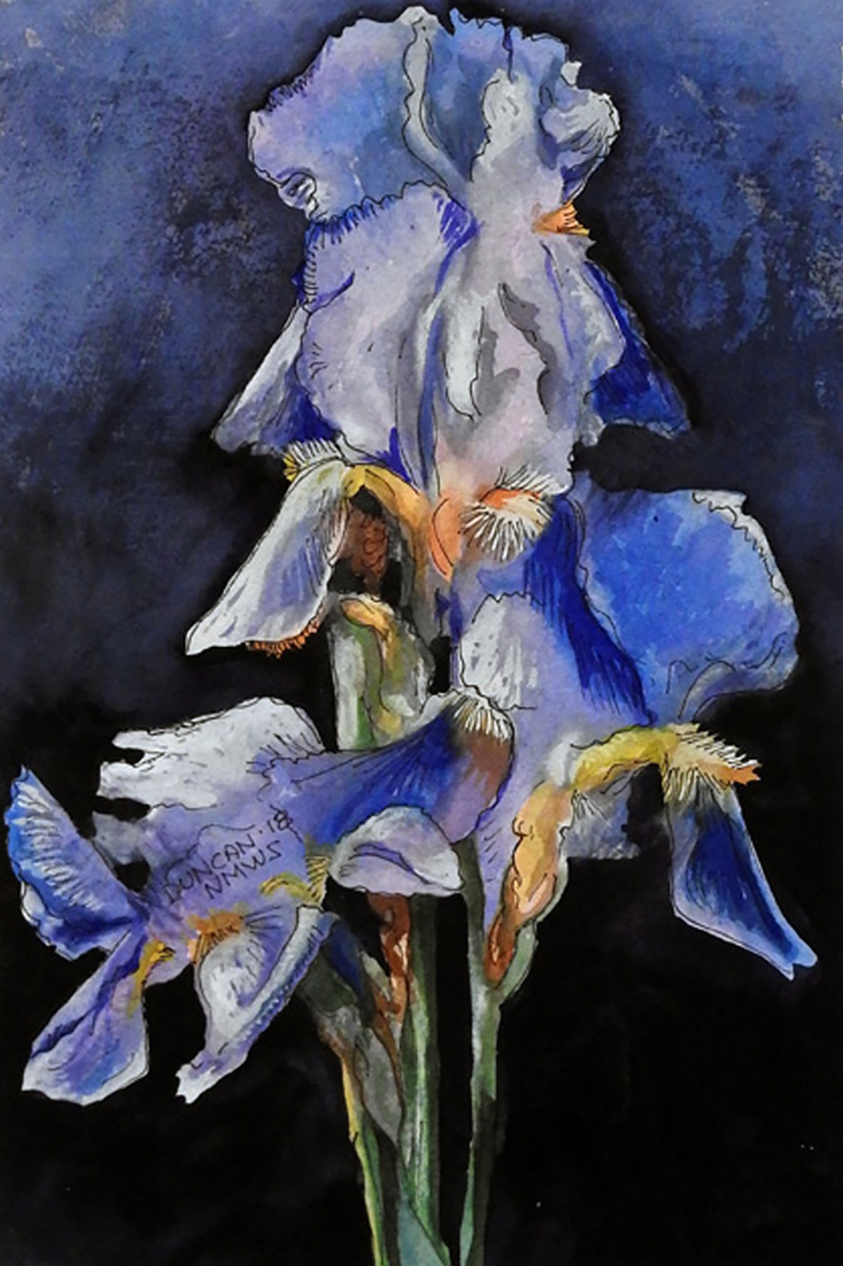 Woody Duncan: Blue Iris