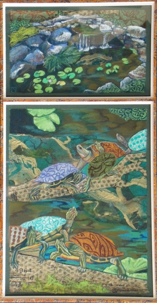 Donna L. Aldrich: Turtle’s Turn