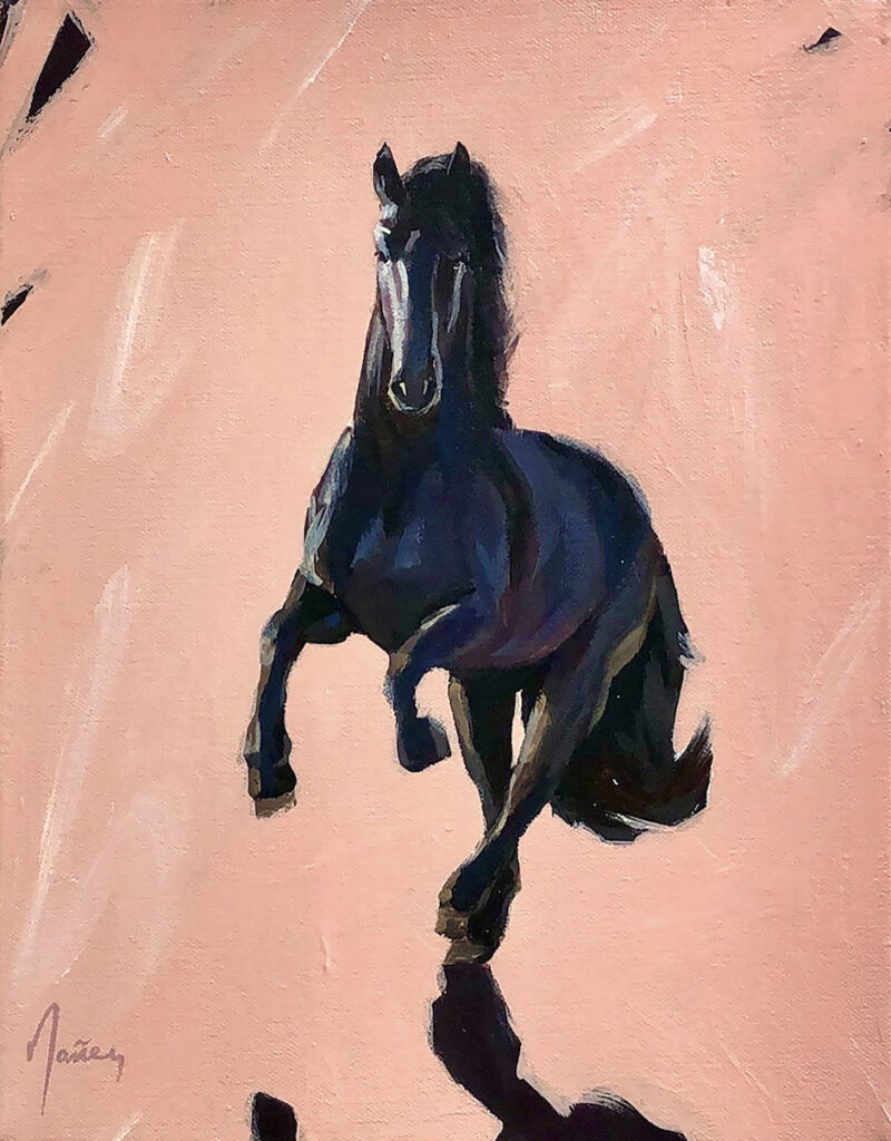 Bryce Nañez: Dark Horse