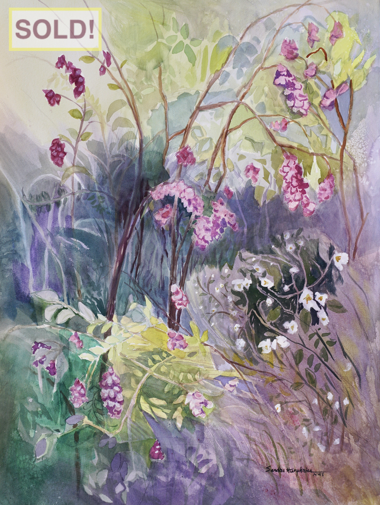 Sandra Humphries: Forest with New Mexico Locust