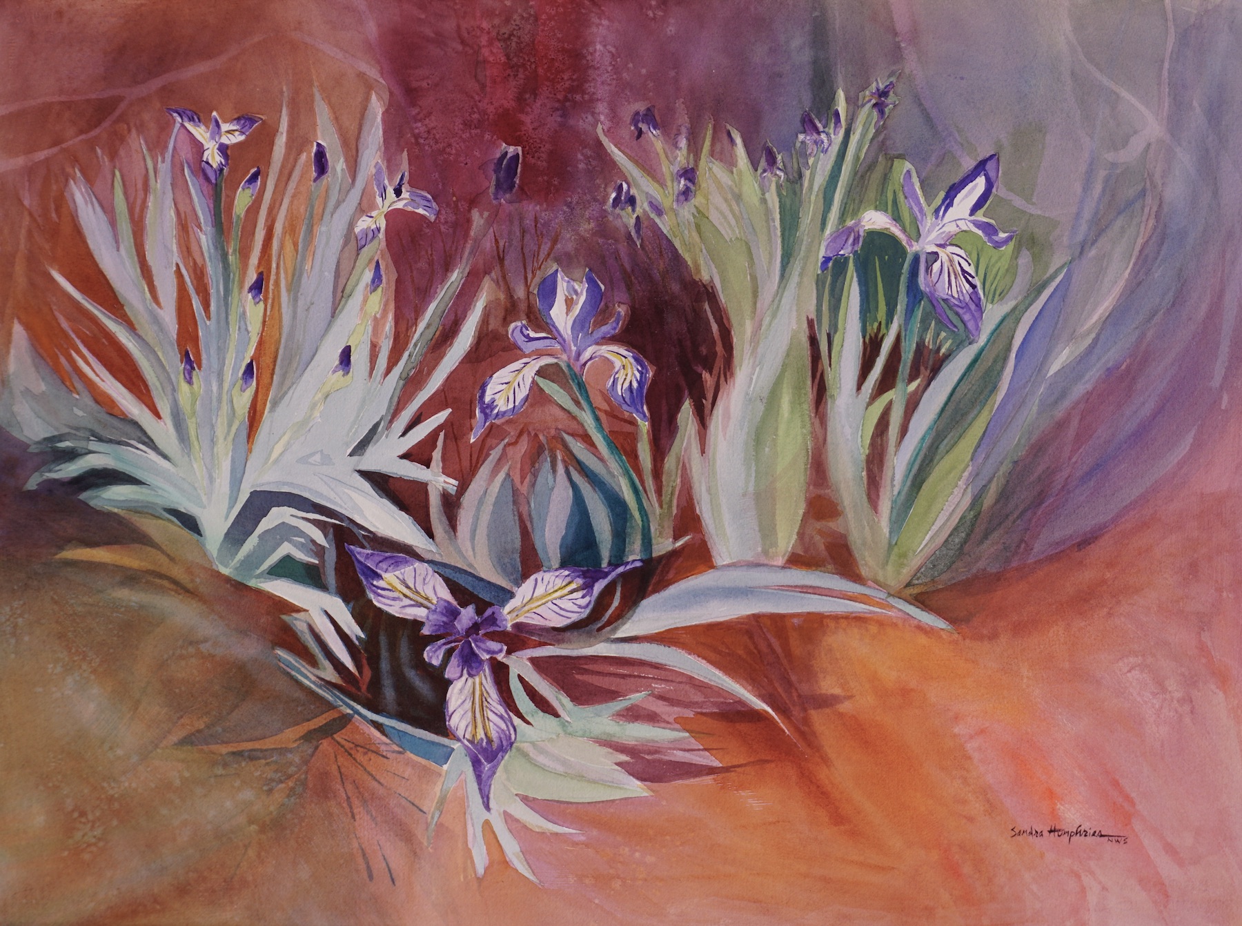 Sandra Humphries: Mountain Wildflowers 10