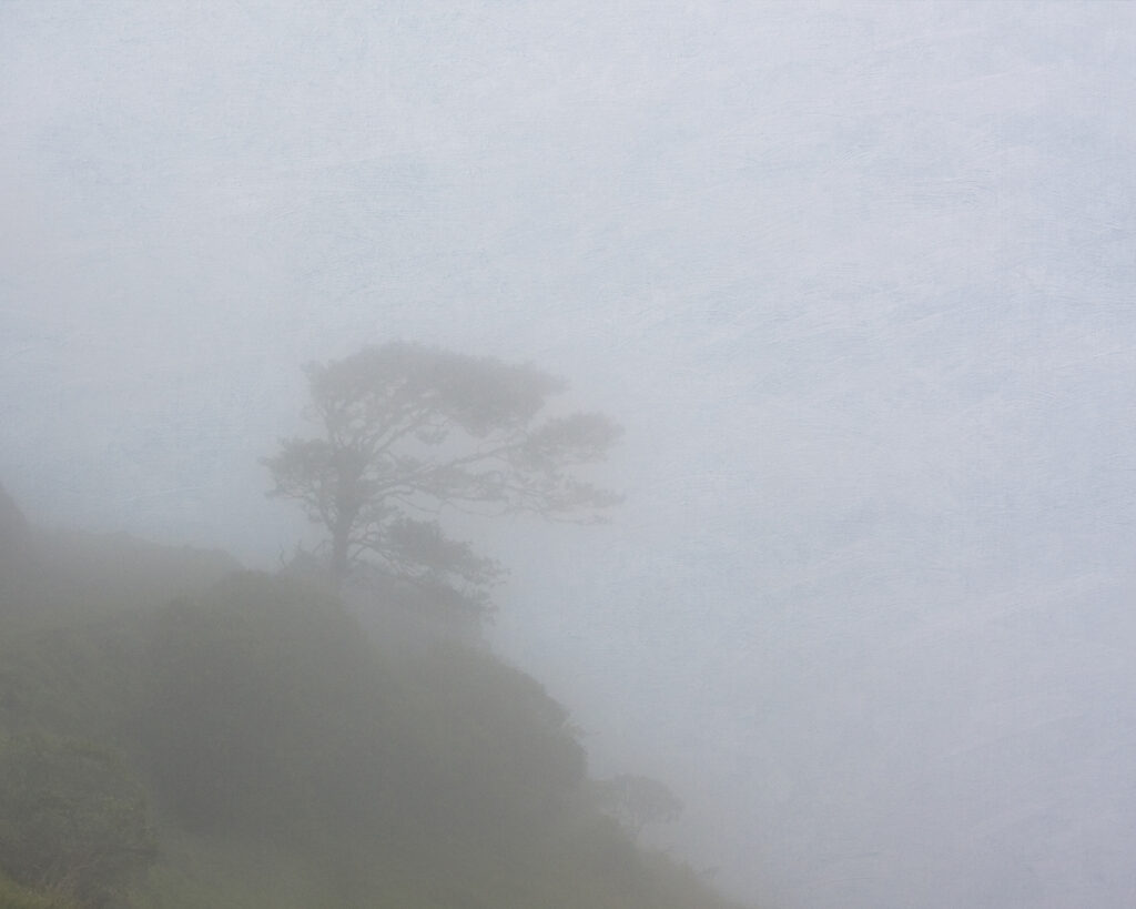 Storm Sermay: Seasons of Mist