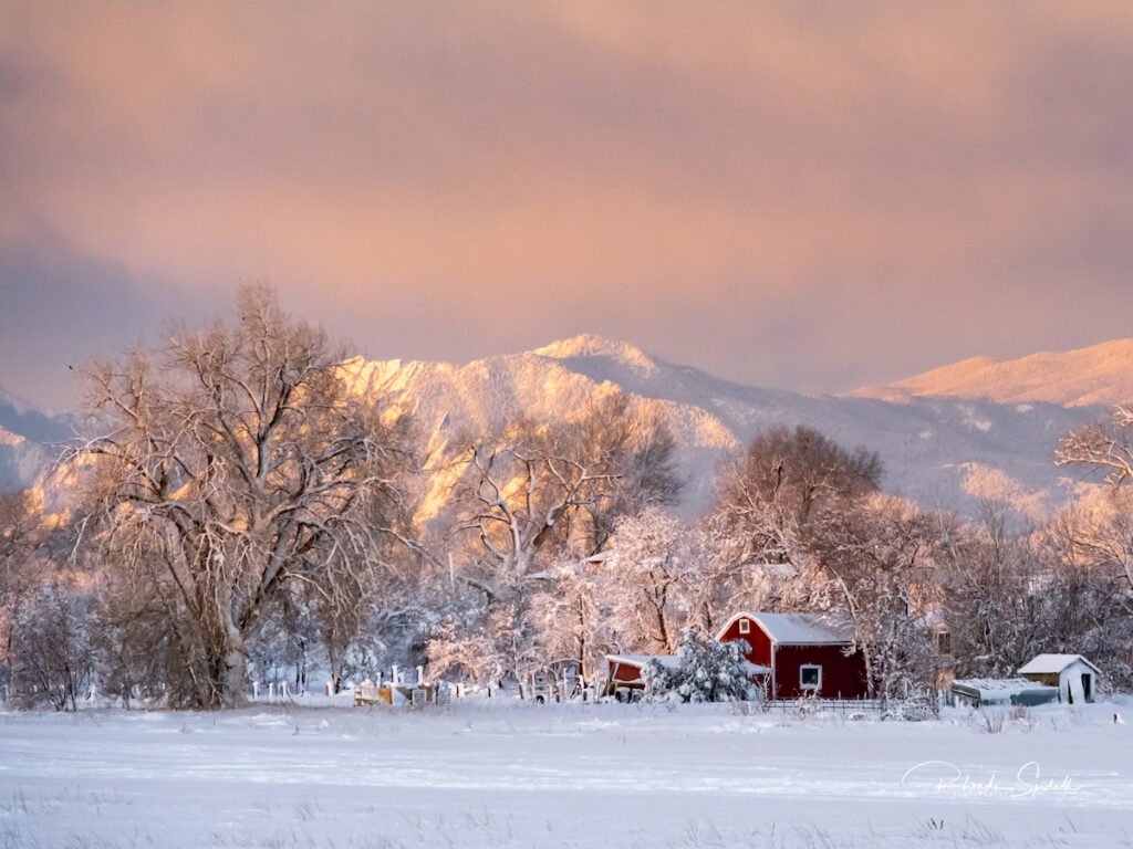 Rhonda Spidell: The Red Barn