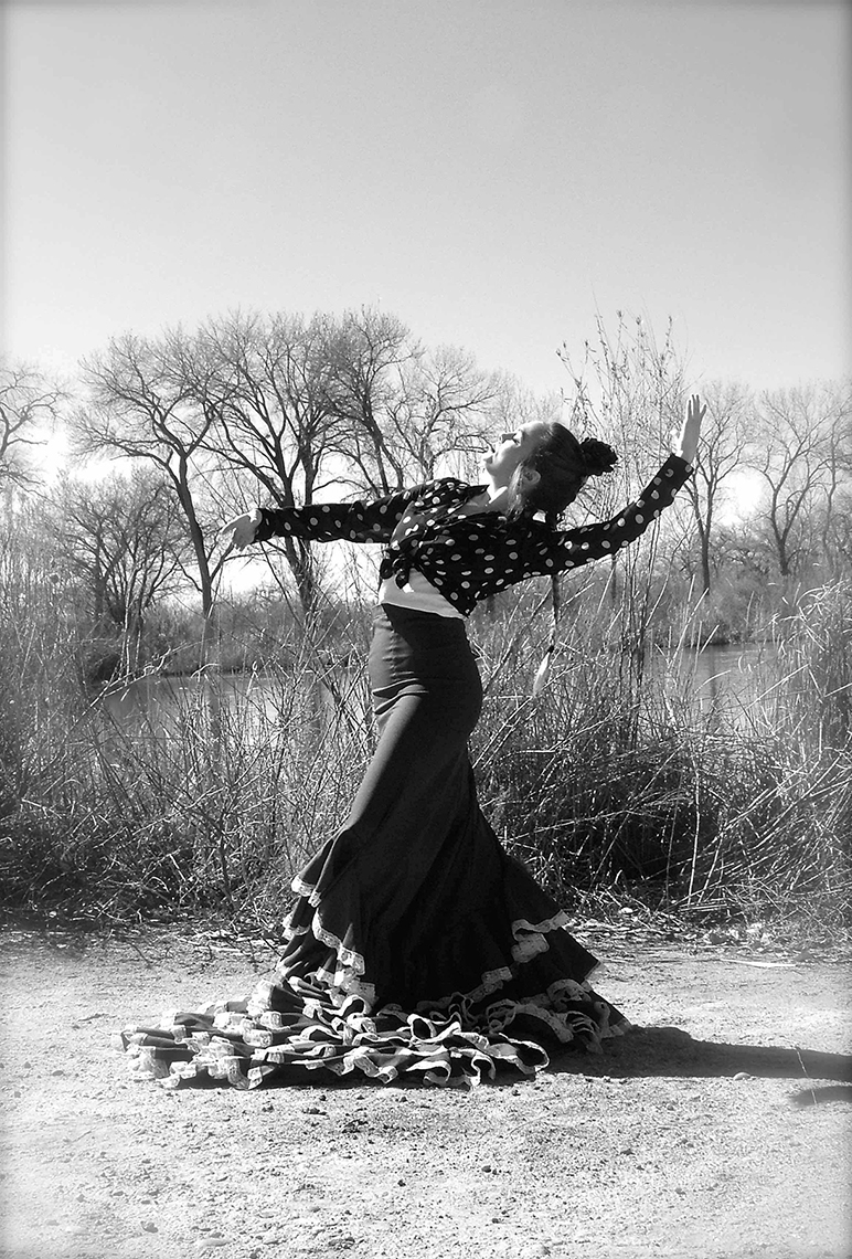 New Mexico Cancer Center, Gallery With A Cause, Burqueña Flamenco Dancer 3