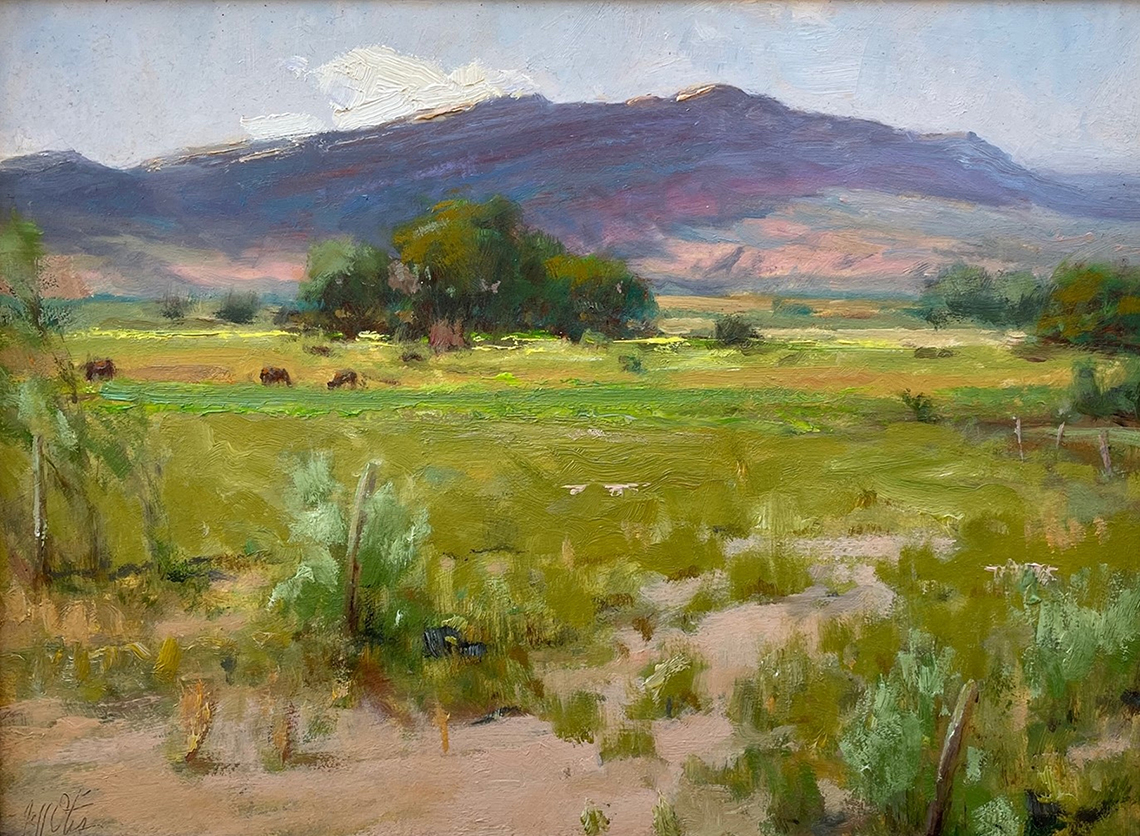 New Mexico Cancer Center, Gallery With A Cause, Fields Near San Ysidro