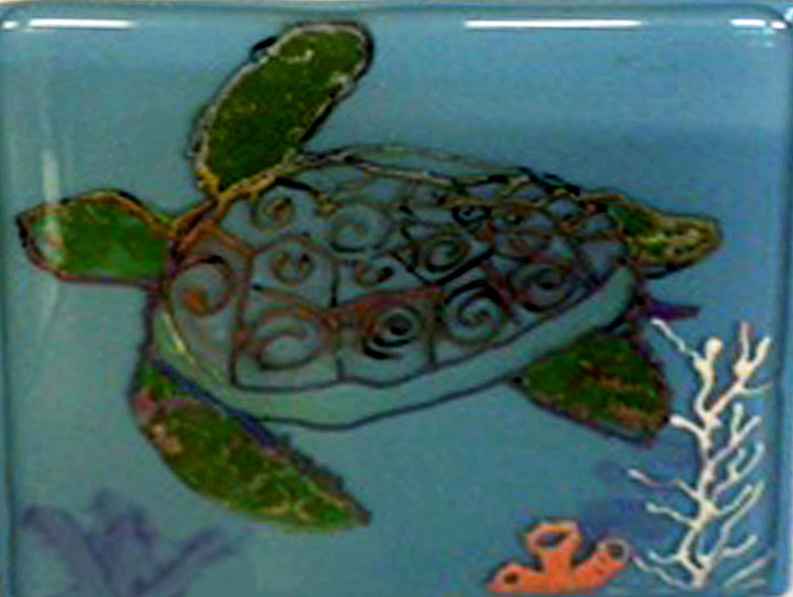 New Mexico Cancer Center, Gallery With A Cause, Hand Painted Turtle 3