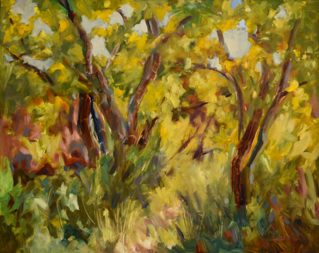 New Mexico Cancer Center, Gallery With A Cause, Jemez Valley Cottonwoods